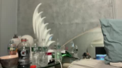 Snapshot of bubbahumps chatting on 01.12.25 bubbahumps online show from 01.12.25