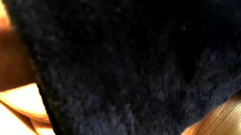 Buck online show from 03.15.26