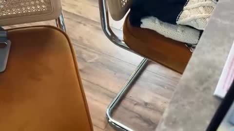 Snapshot of bucky5819 chatting on 02.16.26 bucky58 online show from 02.16.26