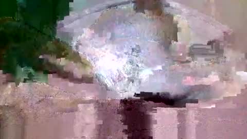 Snapshot of buffsurgeon1 chatting on 09.08.25 buffsurgeon1 online show from 09.08.25