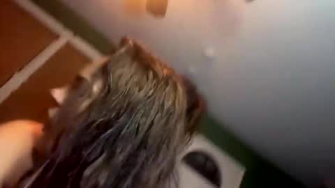 Yourtrippyhippy online show from 11.28.25