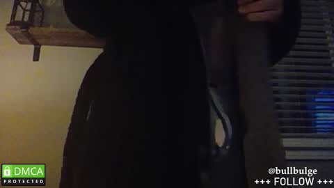 Snapshot of bullbulge chatting on 01.19.26 Bull. online show from 01.19.26