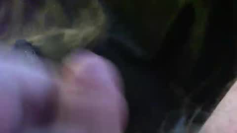 bullemoe online show from 01.14.25