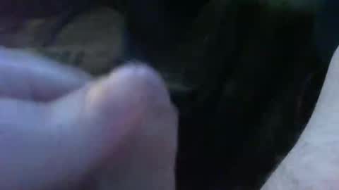 bullemoe online show from 09.30.25