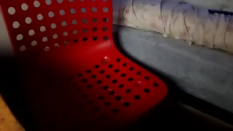 Snapshot of bullspain27266272 chatting on 01.26.25 bullspain27266272 online show from 01.26.25