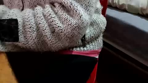 Snapshot of bullspain27266272 chatting on 02.05.25 bullspain27266272 online show from 02.05.25