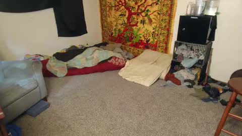 Shane online show from 12.15.25