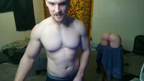 Shane online show from 02.17.26