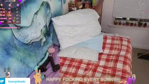 Tokki  bunny  online show from 11.21.25