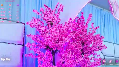 Snapshot of bunnysexyy chatting on 03.04.26 Bunny online show from 03.04.26