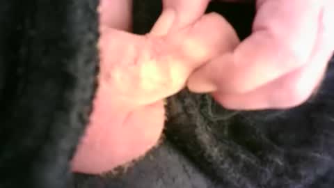 Hamish online show from 11.23.25