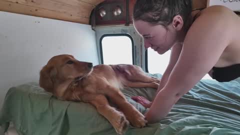 busbuddies online show from 02.02.25