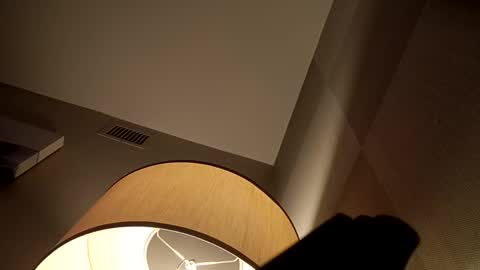 Snapshot of bushdoctor1 chatting on 12.02.24 bushdoctor1 online show from 12.02.24