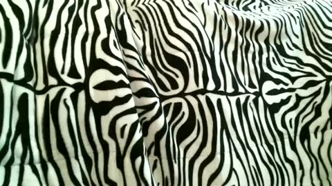 Snapshot of bustinfree chatting on 09.15.25 bustinfree online show from 09.15.25