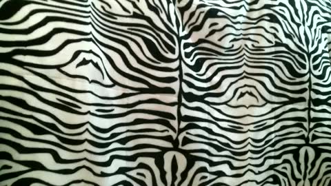 Snapshot of bustinfree chatting on 09.16.25 bustinfree online show from 09.16.25