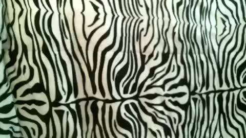 Snapshot of bustinfree chatting on 10.18.25 bustinfree online show from 10.18.25