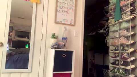 John online show from 04.15.26