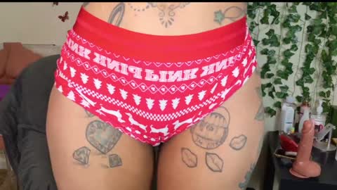 Snapshot of butterflybootyy chatting on 01.09.25 butterfly booty online show from 01.09.25