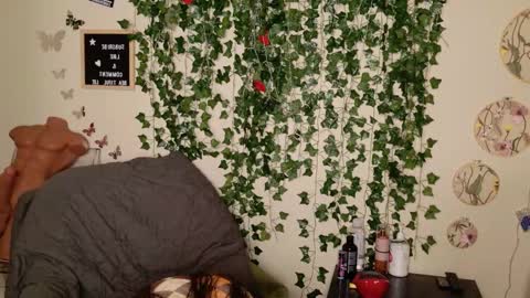 butterfly booty online show from 11.03.25