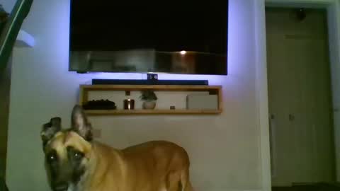 Snapshot of bwc44u chatting on 10.02.25 bwc44u online show from 10.02.25