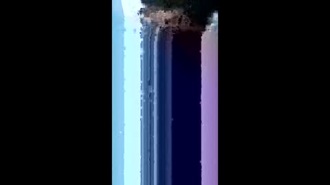 bydsknox online show from 03.04.26