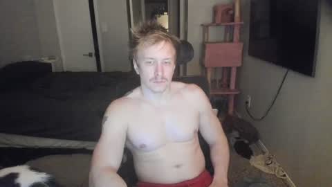 Snapshot of c00ki3m0nstr chatting on 06.19.26 c00ki3m0nstr online show from 06.19.26