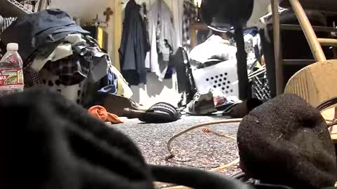 Snapshot of c547409 chatting on 10.21.25 c547409 online show from 10.21.25