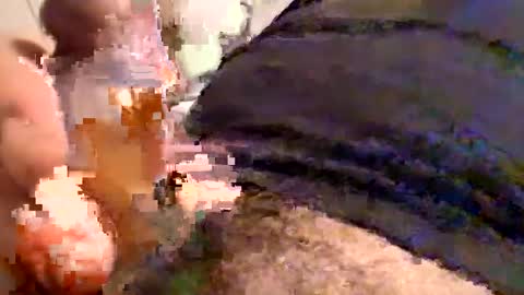 Cactus1041 online show from 12.30.24