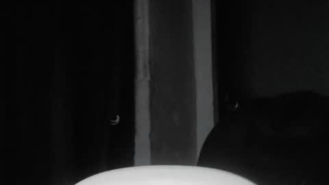 Snapshot of cafinfi1 chatting on 02.18.26 cafinfi1 online show from 02.18.26