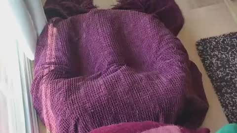 Caked Up online show from 03.24.26