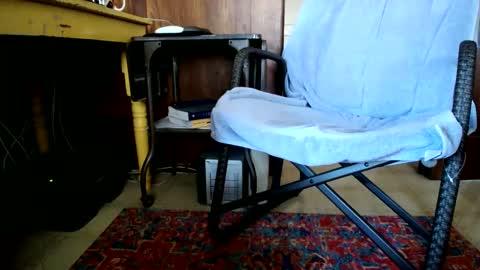 Cal online show from 12.04.24