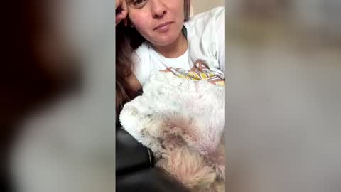 calishop1 online show from 03.12.26