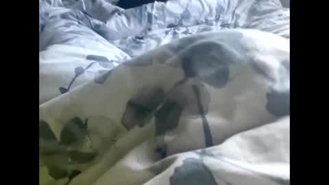 Snapshot of callmedaddyyouslut44 chatting on 03.02.26 callmedaddyyouslut44 online show from 03.02.26