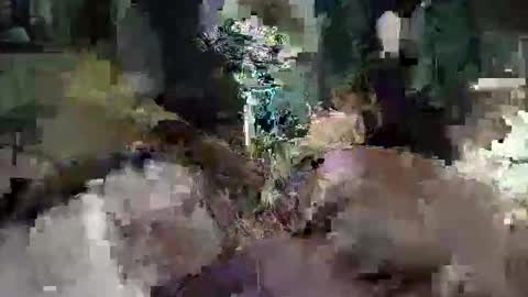 CameronRays online show from 04.25.26