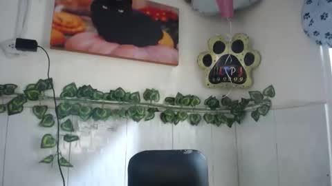 CAMI-03  online show from 01.12.26