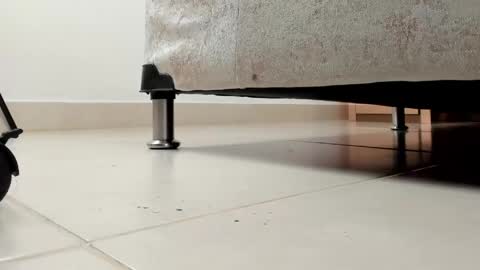 camii  online show from 04.13.26