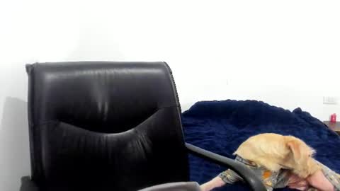 Snapshot of camila_berk chatting on 06.12.26 Cami online show from 06.12.26