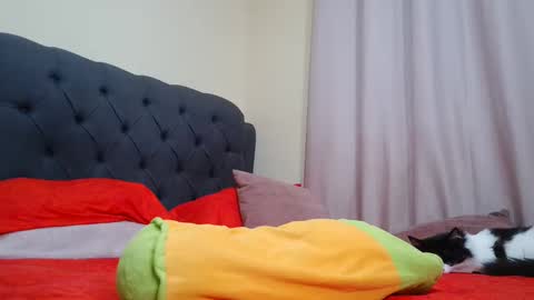 Camila Browm online show from 02.09.25