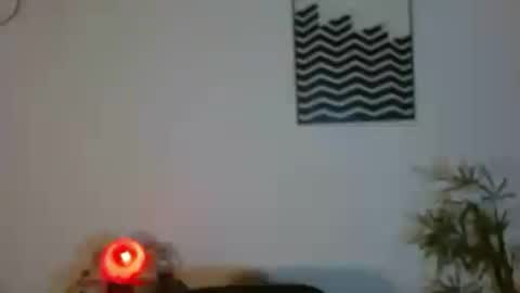 Snapshot of camilaparrisx chatting on 06.24.26 camilaparrisx online show from 06.24.26