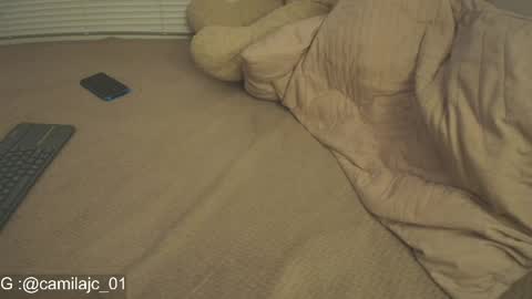 Snapshot of cammile_cole chatting on 04.21.26 Laura Camila online show from 04.21.26