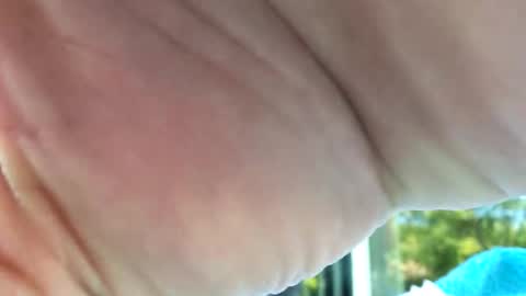 camronleehamilton online show from 11.12.25