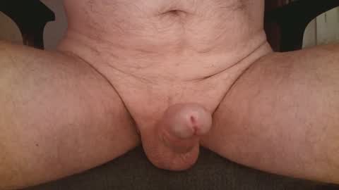 Camster online show from 12.03.24