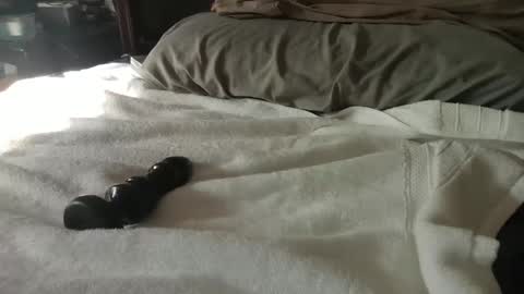 CanadianBoy88 online show from 01.27.25