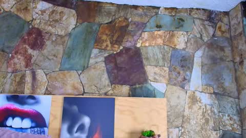 Jolie online show from 01.15.26