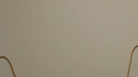 Snapshot of care_sensual chatting on 05.30.26 Mary online show from 05.30.26