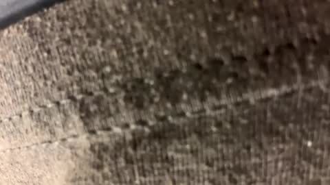 Carl1616 online show from 04.21.26