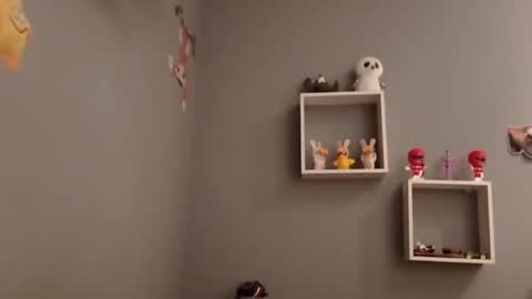 Snapshot of carlitito1 chatting on 11.19.25 carlitito1 online show from 11.19.25