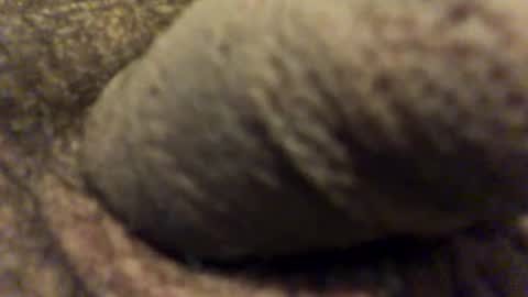 Snapshot of carlitos34m906127 chatting on 02.14.26 carlitos34m906127 online show from 02.14.26