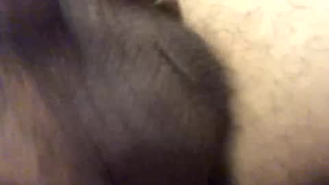 Snapshot of carlitos34m906127 chatting on 02.17.26 carlitos34m906127 online show from 02.17.26