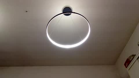 Carlos online show from 01.05.25